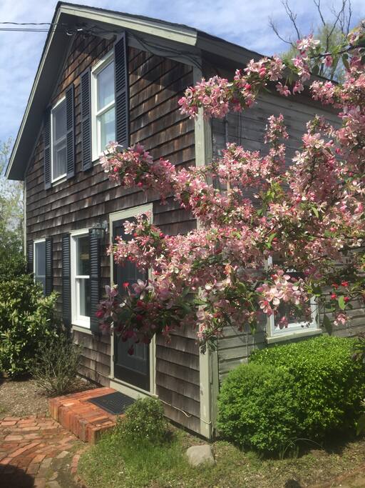 Front of house with tree in bloom