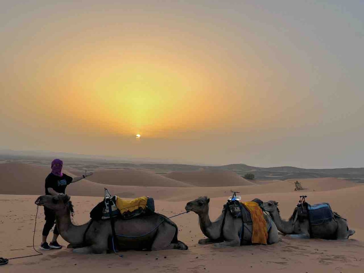 Three camels are calmly resting in the soft sand, each adorned with colorful blankets. A person can be seen nearby, preparing for a sunset camel ride, while a golden sun sets low on the horizon, casting a warm glow over the surrounding dunes.