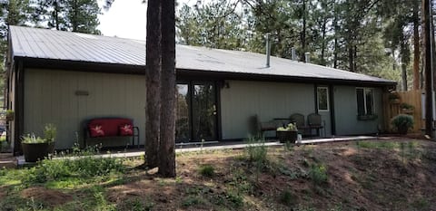 Top performing Airbnb: Bunkhouse In The Pines in Woodland Park