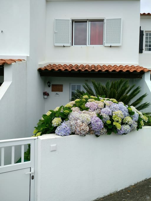 Private front entrance to house, with beautiful small garden with hydrangeas and Sica Palm tree and garden bench.