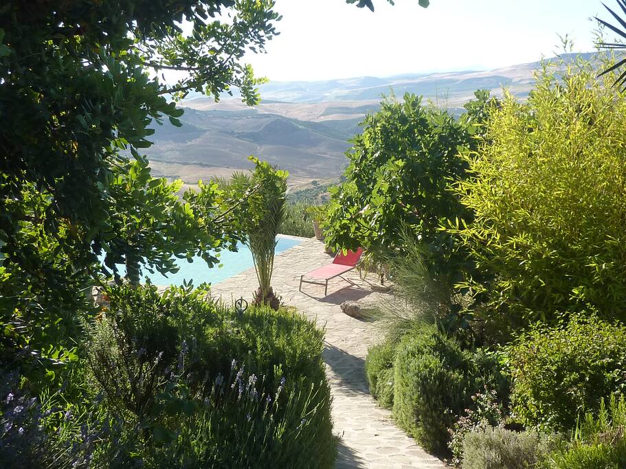 path to the casita