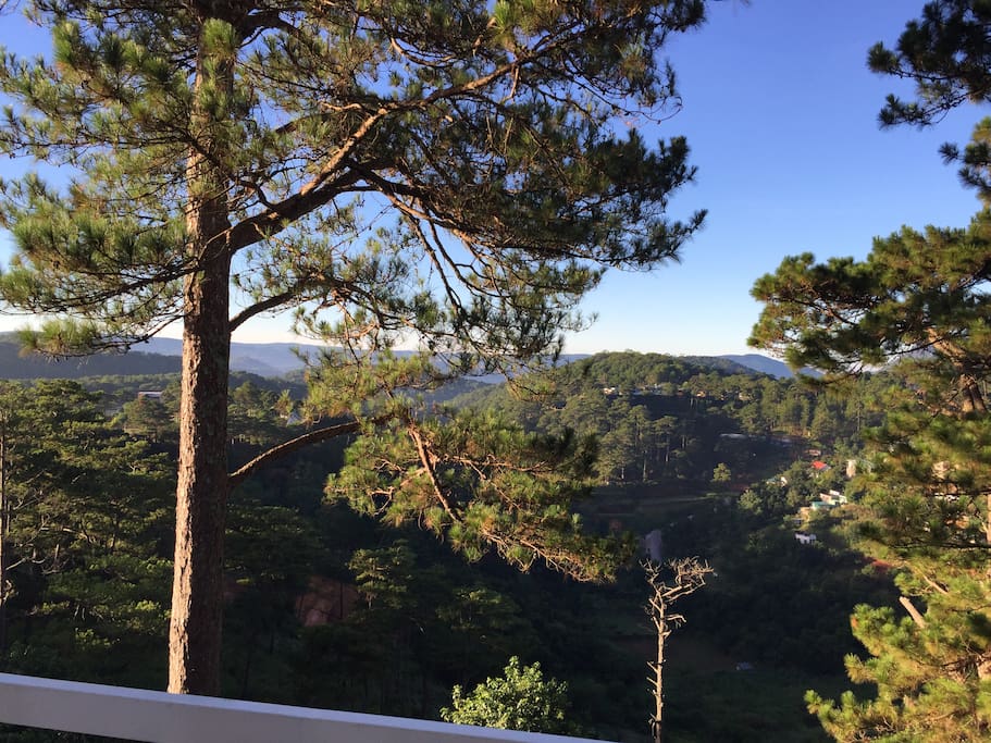 Valley View