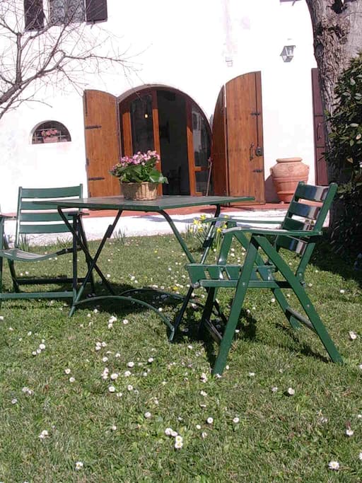 view of the garden