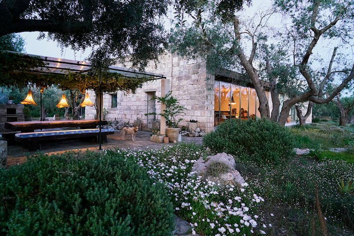 Beautifully designed Villa in olive grove