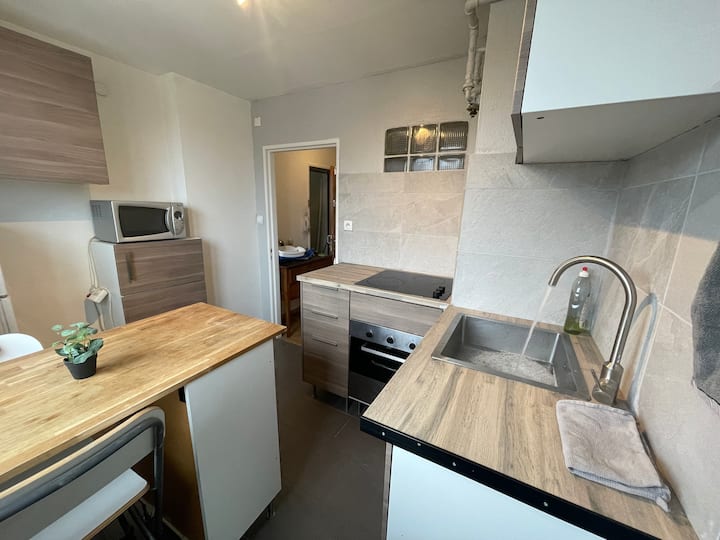 Neudorf, Strasbourg locations de vacances et logements Strasbourg