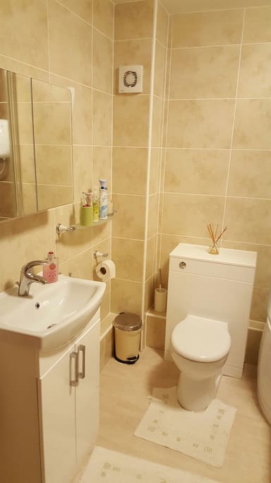 Bathroom, newly installed November 2015