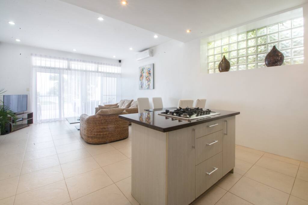 Kitchen and Living Room Area
