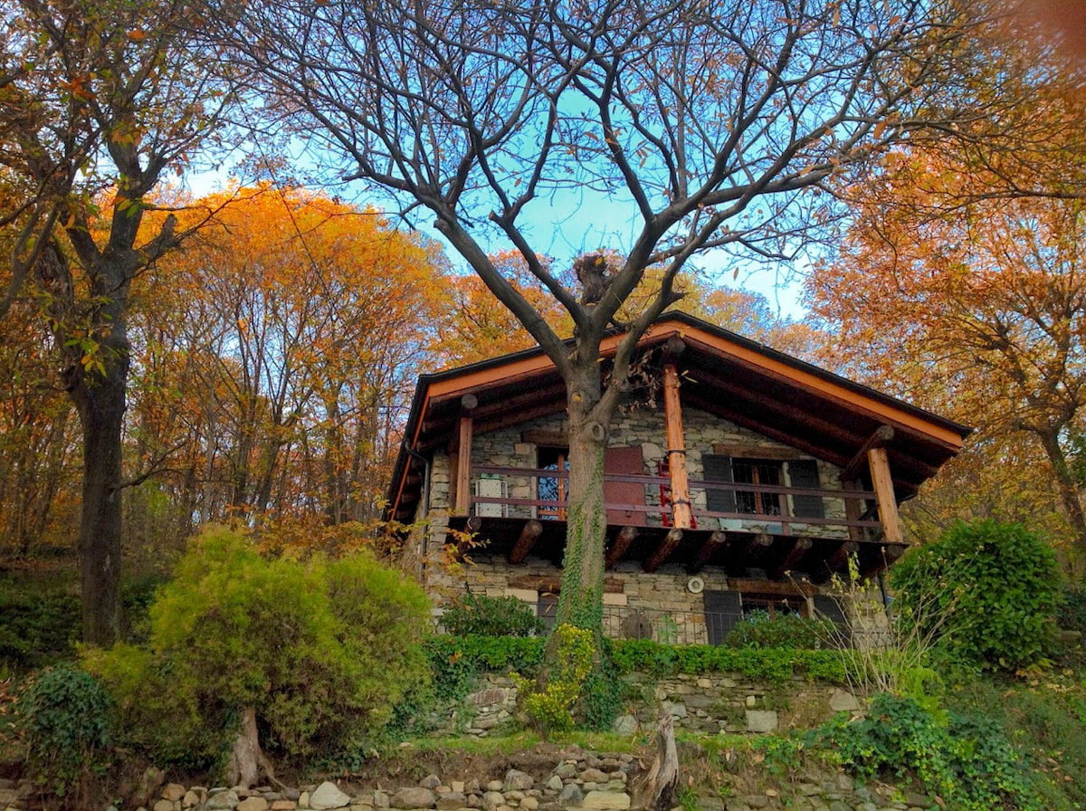 The rustic cottage is nestled among tall trees with vibrant autumn foliage. The stone and wood structure features a sloping roof and multiple balconies. A lush area of greenery surrounds the base, creating a serene atmosphere in the heart of nature.