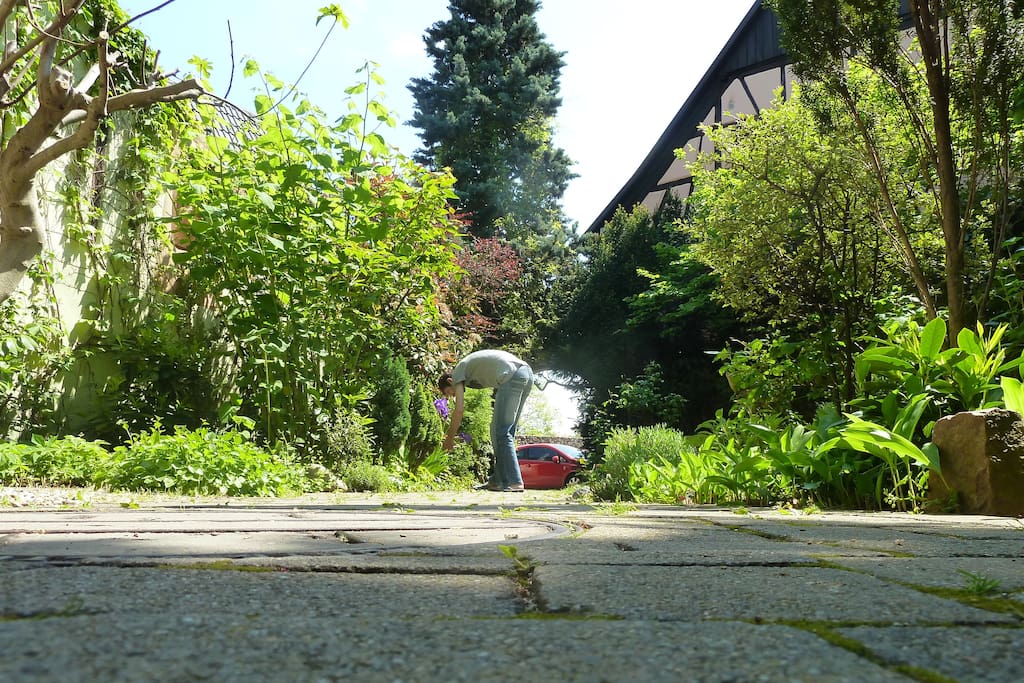 Un peu de jardinage :)