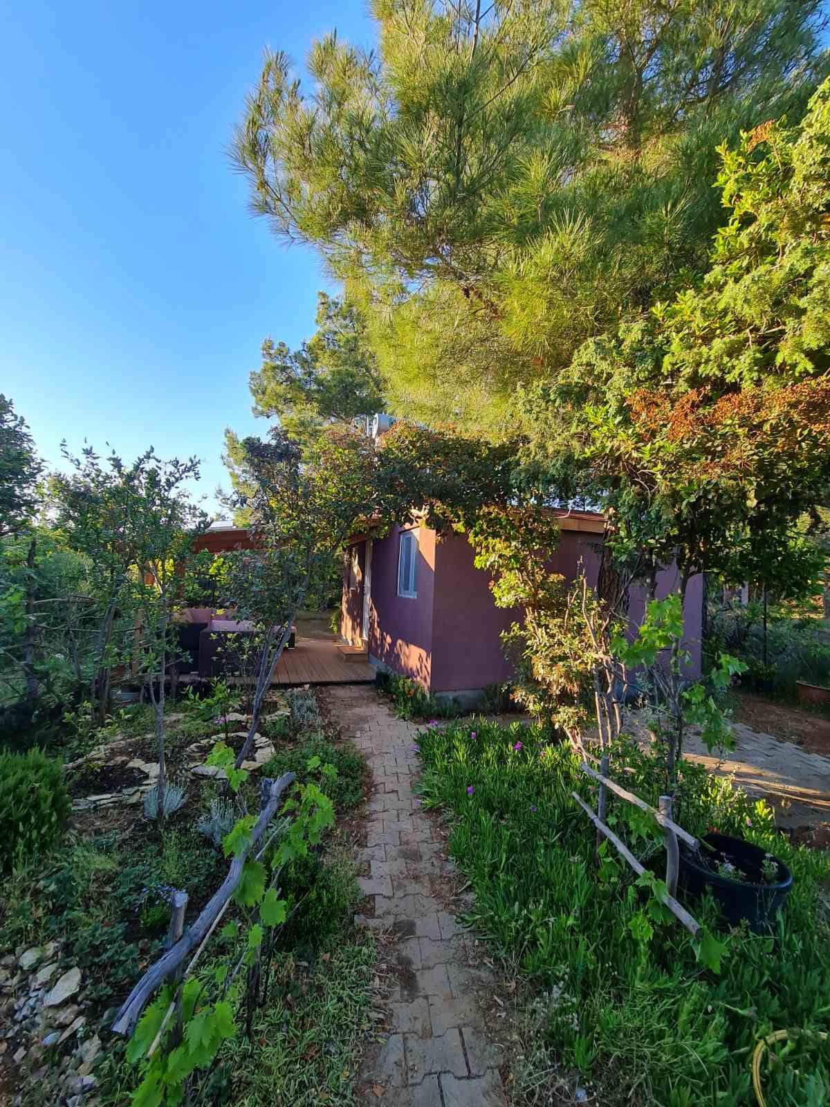 A charming cottage is nestled among greenery, framed by trees and flourishing plants. A winding stone path leads to the entrance, with shrubbery and flowers lining both sides, creating a tranquil outdoor setting.