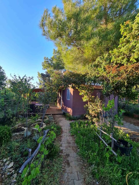 Successful Airbnb property: PALMIRA'S SECRET GARDEN in Ćunski