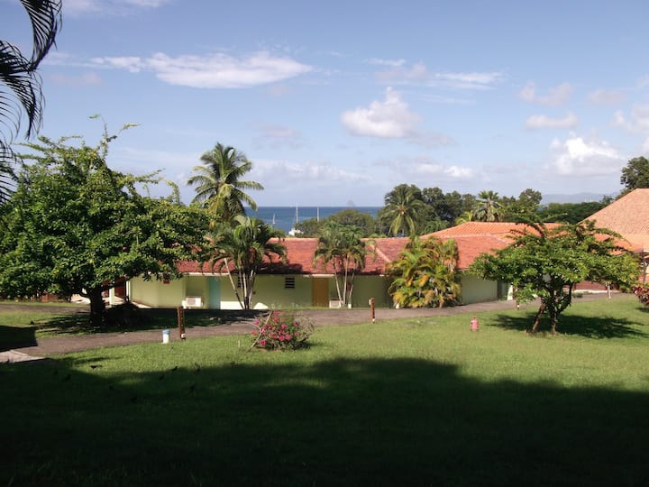 STUDIO 1 HANDLE CARITAN SAINTE ANNE Apartments for Rent in Sainte