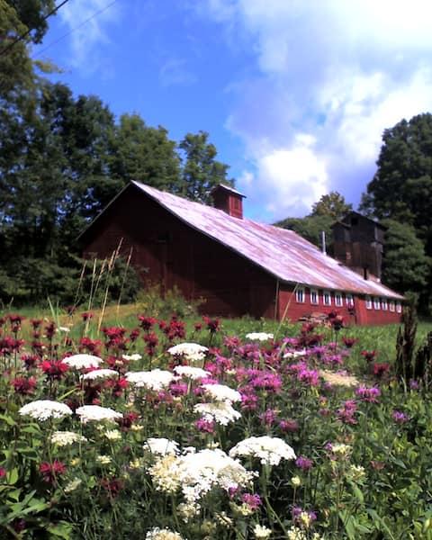 Large Vermont Farmhouse with Heart-close to Smuggs