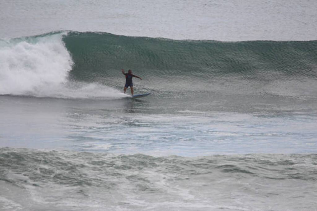 Surf