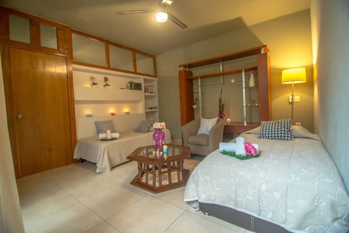 Full view of the space, studio type.