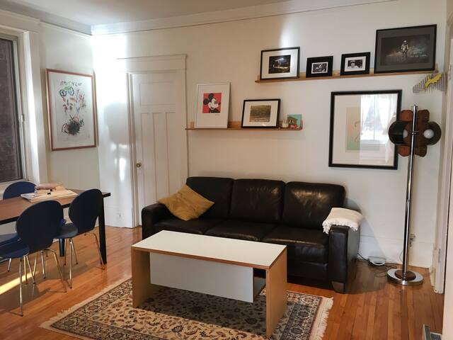 COZY APARTMENT IN OUTREMONT - MILE END