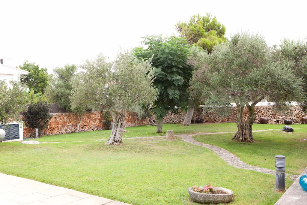 Jardin