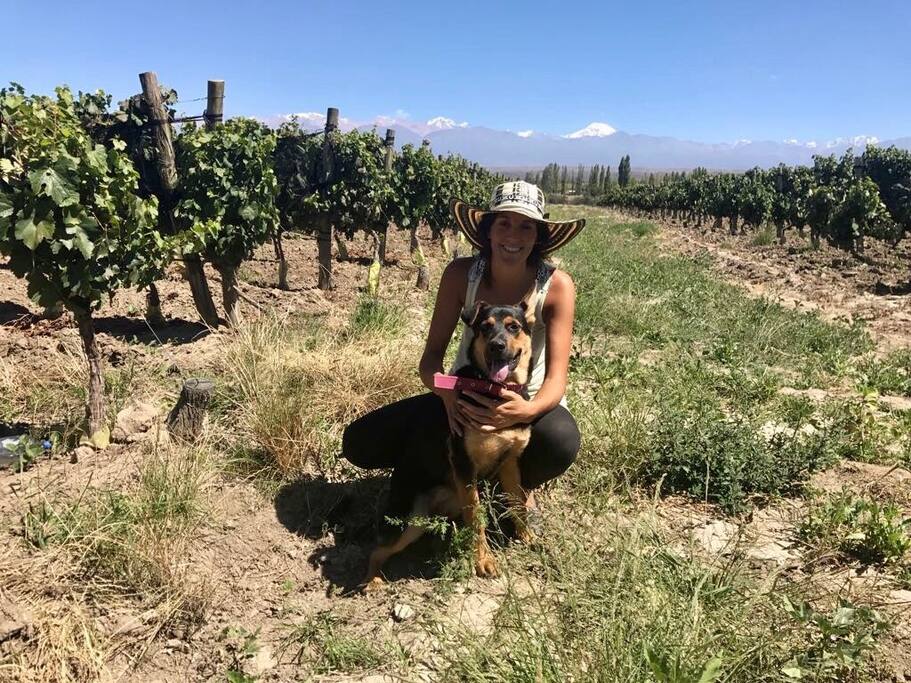 Viña de Malbec