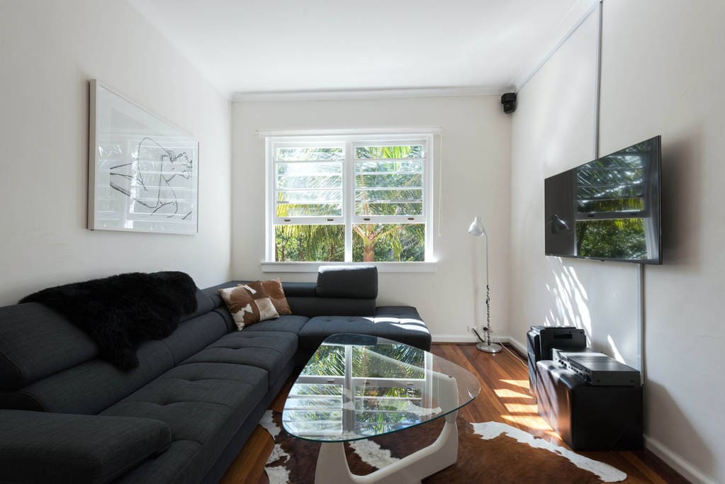 And home theater: Bose surround sound, Sony TV, Netflix