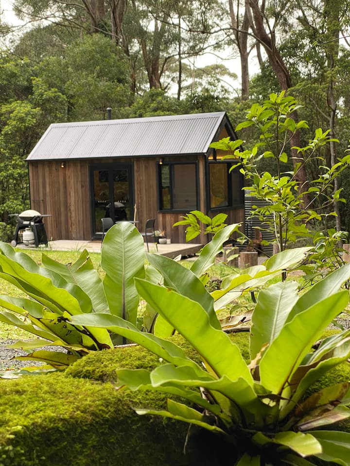 Creek side Tiny House in a subtropical rainforest Tiny houses for
