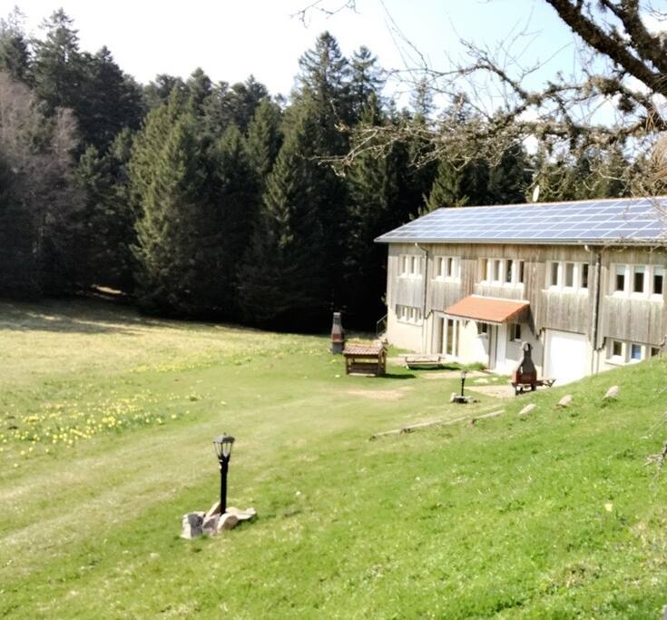 Le début du printemps