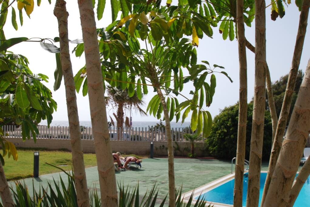 jardin