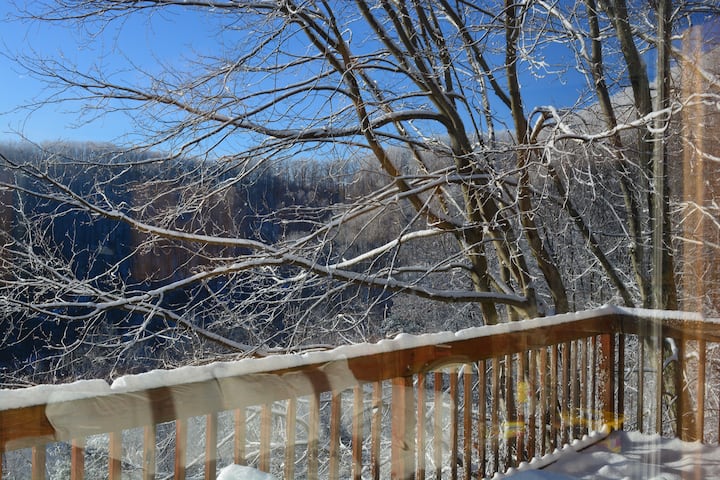 Cabin w/ Top of world view of Smokie mtns & park