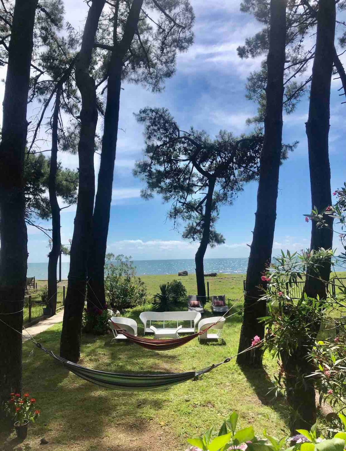 A serene outdoor space is framed by tall pine trees, with a hammock gently swaying between them. A small table and chairs are set on the grass, offering a view of the ocean in the distance under a clear blue sky.