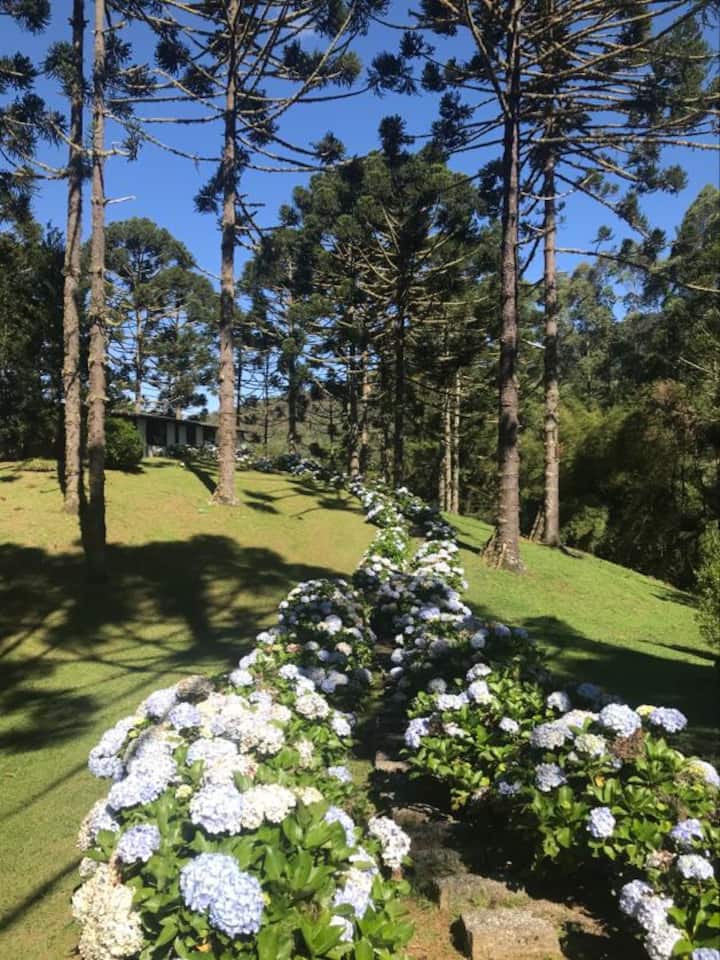 Casa Caminho Das Hortênsias Isolamento E Natureza