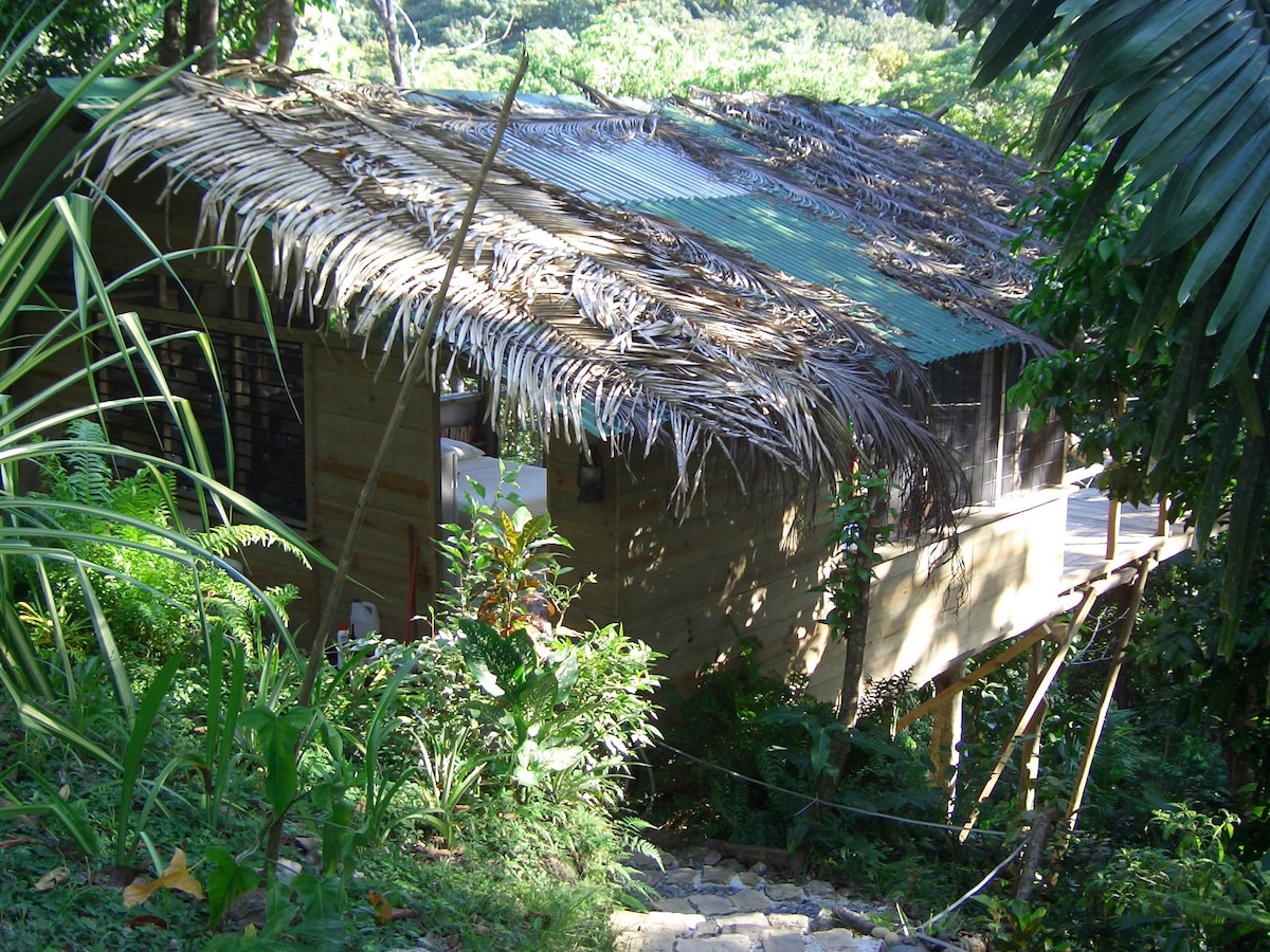 A wooden structure is nestled among lush greenery, featuring a thatched roof for a natural aesthetic. The elevated position allows for a view of the surrounding jungle, enhancing the feeling of being immersed in nature. Steps lead up to the entrance from the landscaped path.