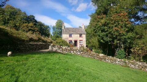 Tynllwyn Holiday Cottage two bedrooms and hot tub