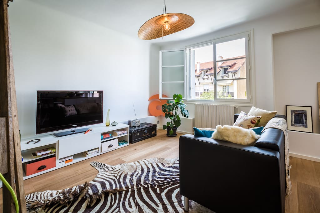 Salon - Living Room (canapé remplacé par un plus grand - couch replaced by a larger one)