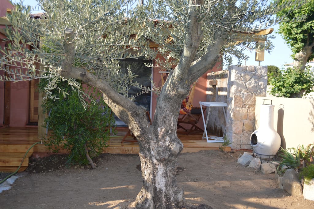Terrasse privée et jardinet