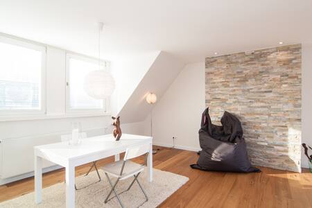 Beautiful Apartement by the RHINE