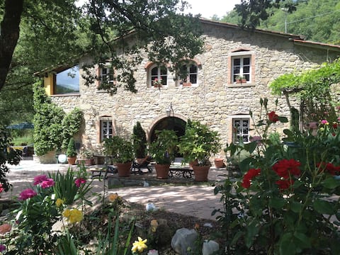 Farmhouse with swimming pool and riding stables