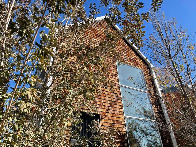 Modern Paradise in Denvers Best Neighborhood! gallery image 2