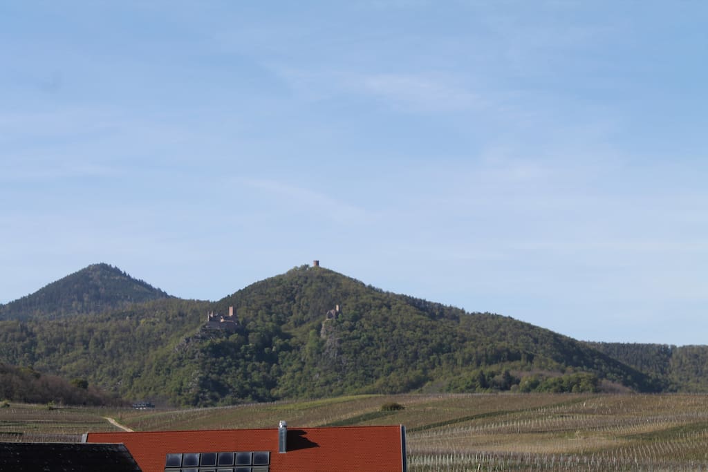 vue du balcon sur le vignoble et les 3 châteaux de Ribeauvillé