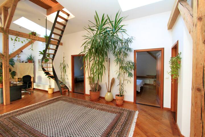 Spacious Loft with Rooftop Terrace in City Center gallery image 3