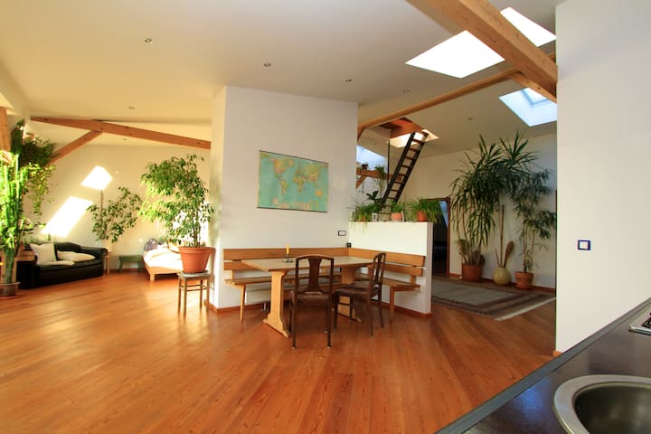 Spacious Loft with Rooftop Terrace in City Center