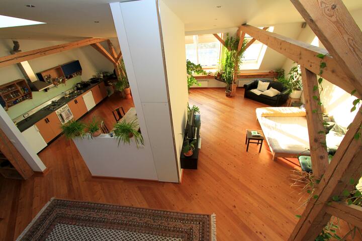 Spacious Loft with Rooftop Terrace in City Center gallery image 5