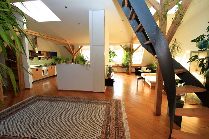Spacious Loft with Rooftop Terrace in City Center gallery image 4