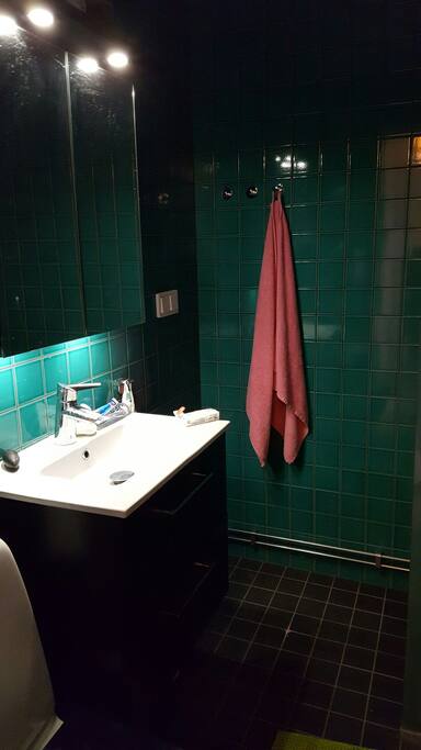 Renovated bathroom