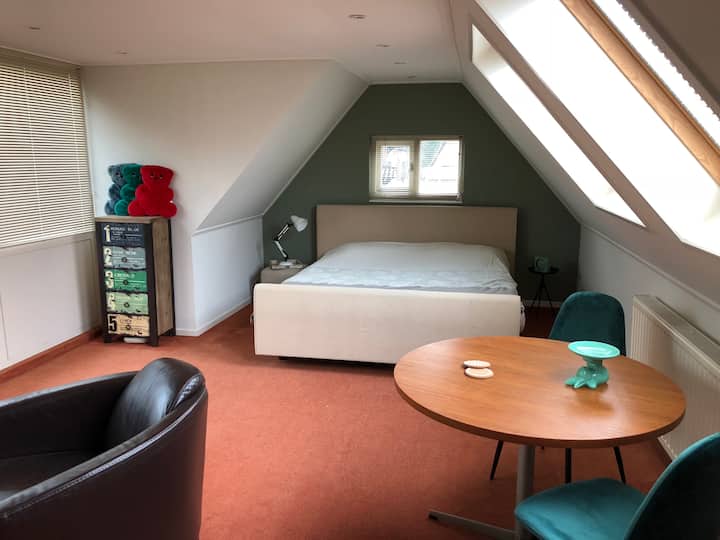 Apartment in Ter Apel (opposite KloosterBos) Guest suites for Rent