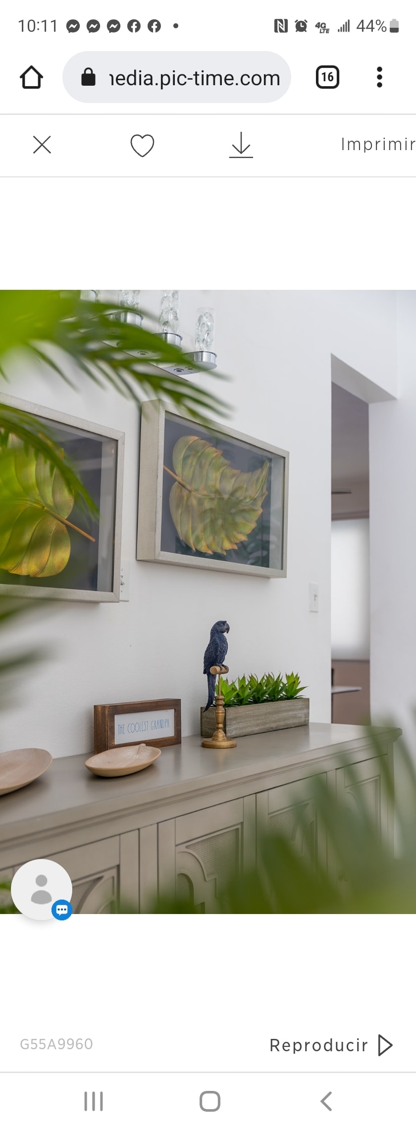 A sideboard is positioned against a light wall, adorned with framed artwork depicting botanical themes. A small plant arrangement sits atop the sideboard, complemented by a decorative figure. Soft green leaves from nearby plants subtly frame the scene, enhancing the serene ambiance.
