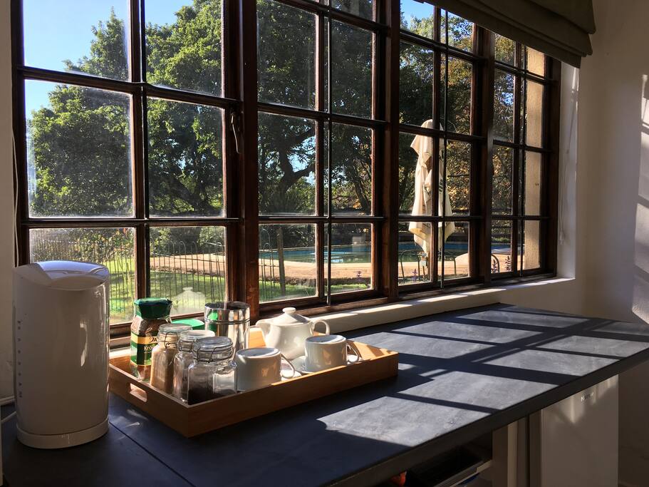 View of the garden and pool