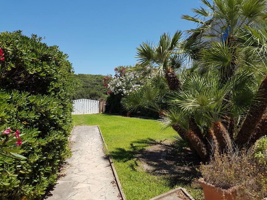 Ingresso dal vialetto nel giardino da cui si vede la pineta