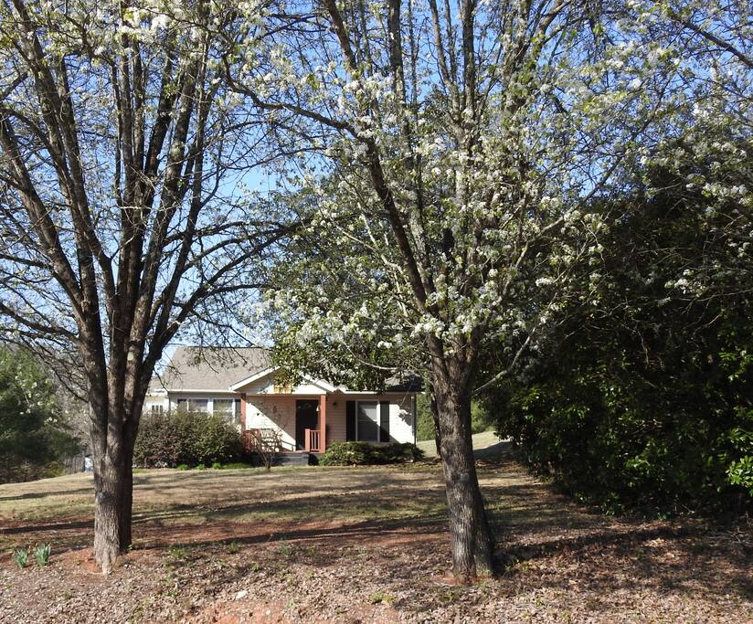 Gorgeous cottage on nearly 2 acres