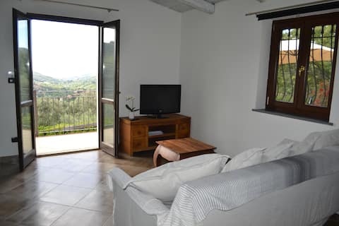 Top Airbnb: Casa La Mimosa, Relax into Olive Trees, seaview a Dolcedo