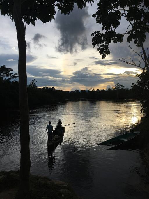 Sunset in the Amazon Rainforest