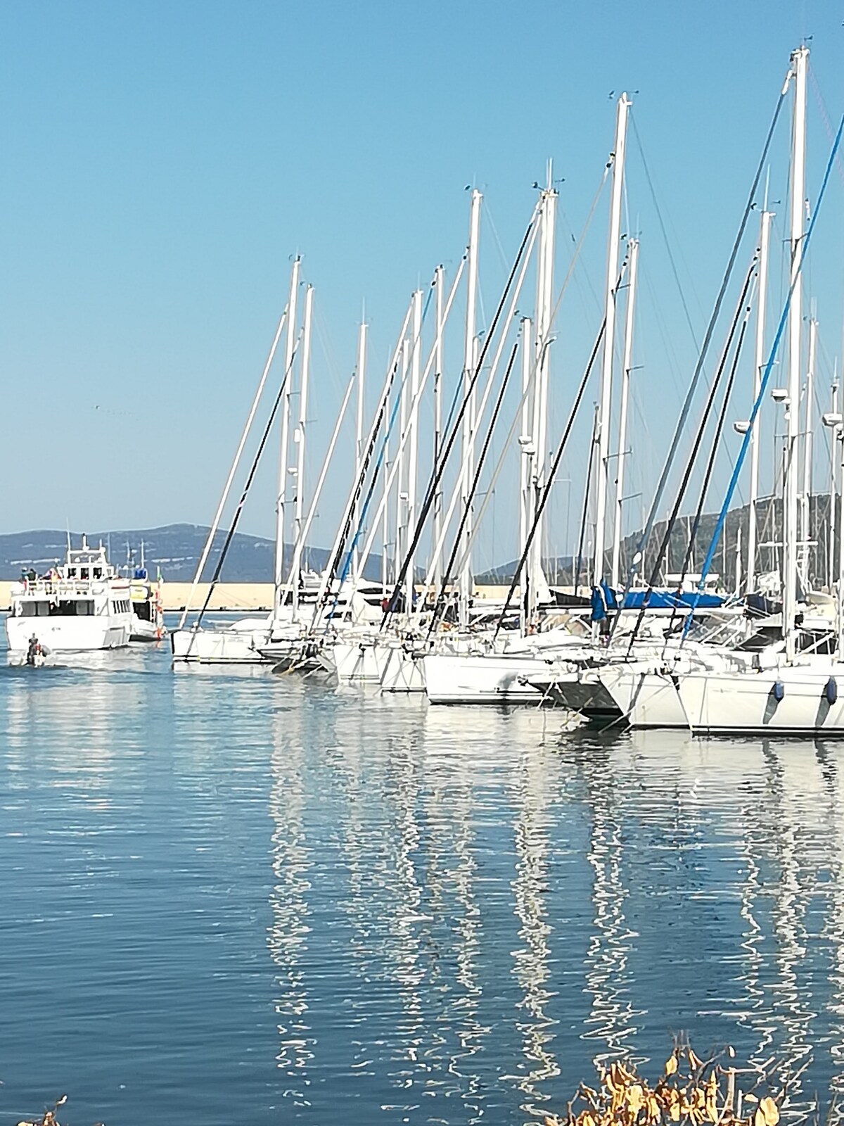 A marina scene features several sailboats and yachts docked on calm waters. The masts extend tall into a clear blue sky, reflecting on the water's surface. The shoreline is visible in the background, completing the serene coastal view.